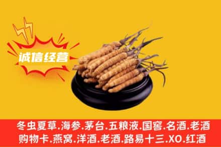 牟平区回收冬虫夏草